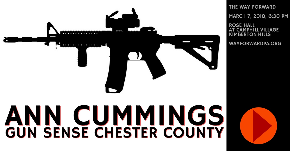 Ann Cummings, Gun Sense Chester County, to speak at Way Forward 3/7/2018