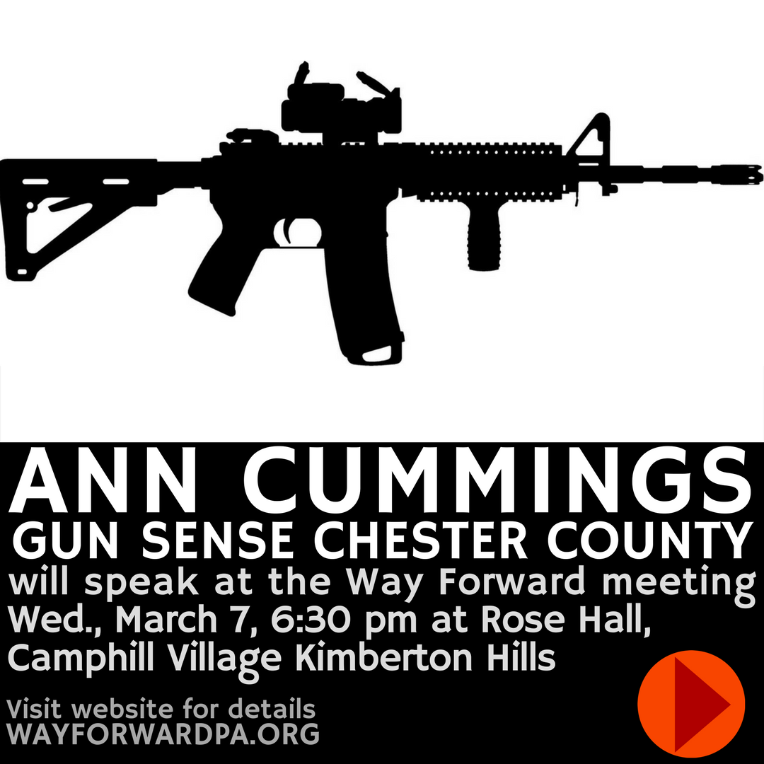 Ann Cummings, Gun Sense Chester County, to speak at Way Forward 3/7/2018